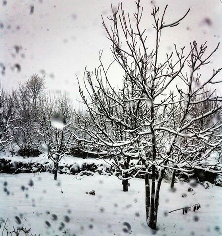 Winter Storm in Lebanon
